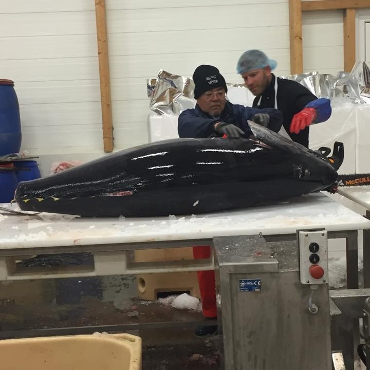 11909784_10153308646399191_290268234_n