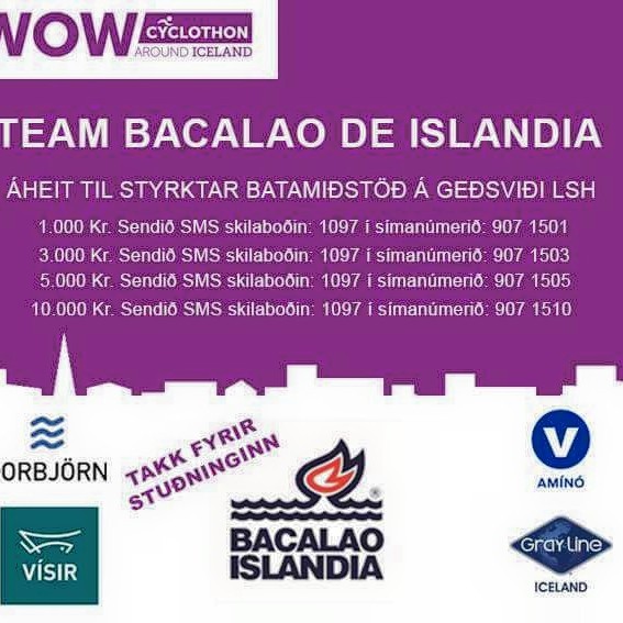 Starfsmenn Vísis taka þátt í WOW Cyclothon