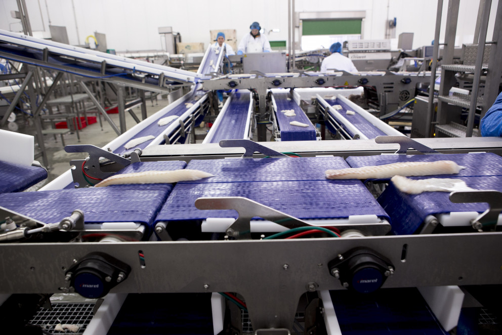 Íslenskt hugvit, framleiðsla og þekking í Vísi