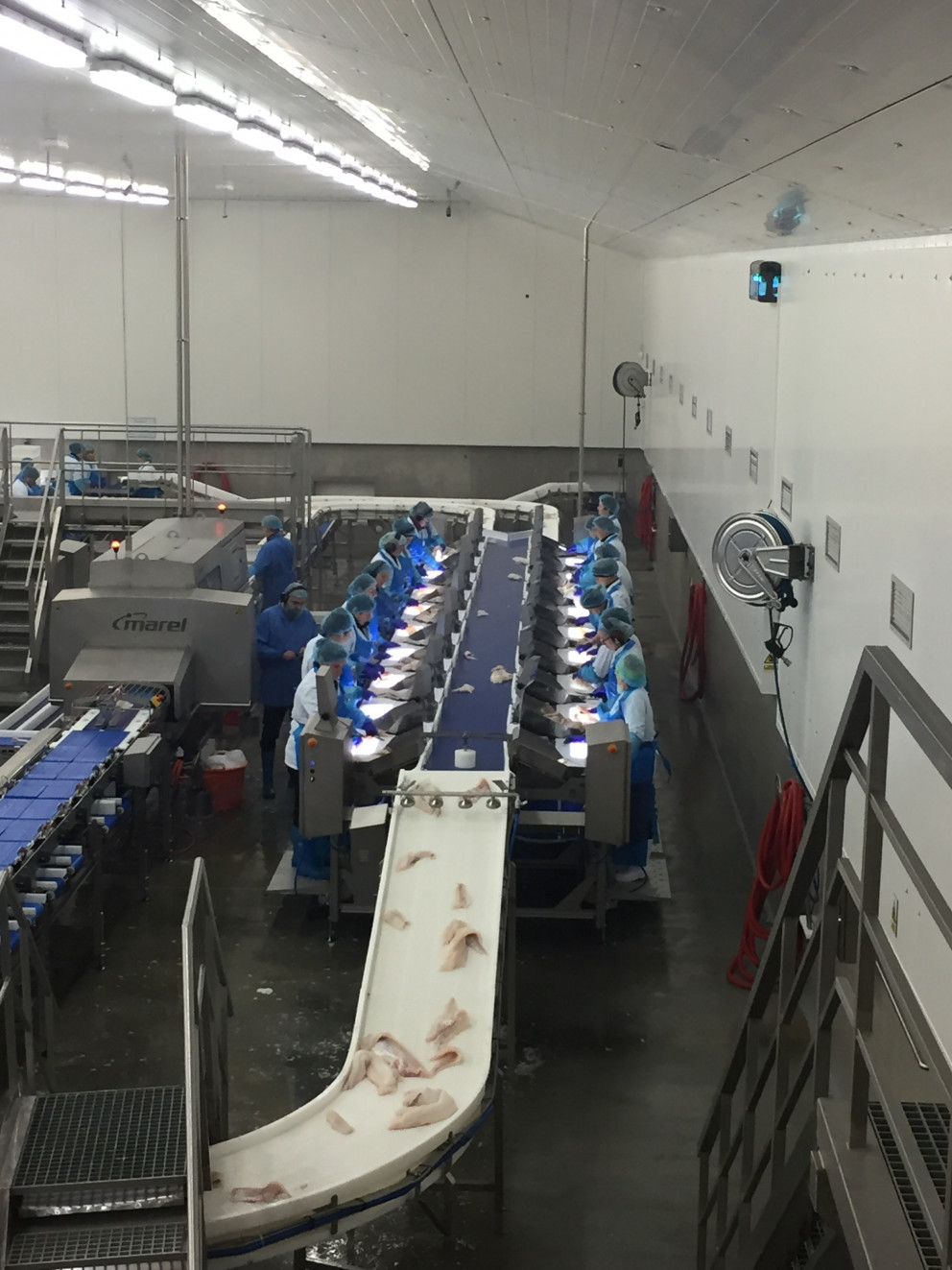 Gæðaskoðun í stað snyrtilínu