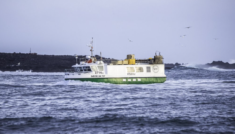 Júlli og félagar á Sævík í góðri veiði út af Krýsuvíkurbjargi