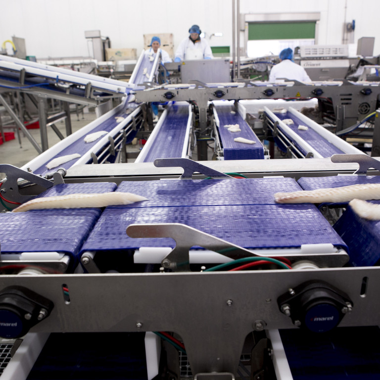 Íslenskt hugvit, framleiðsla og þekking í Vísi