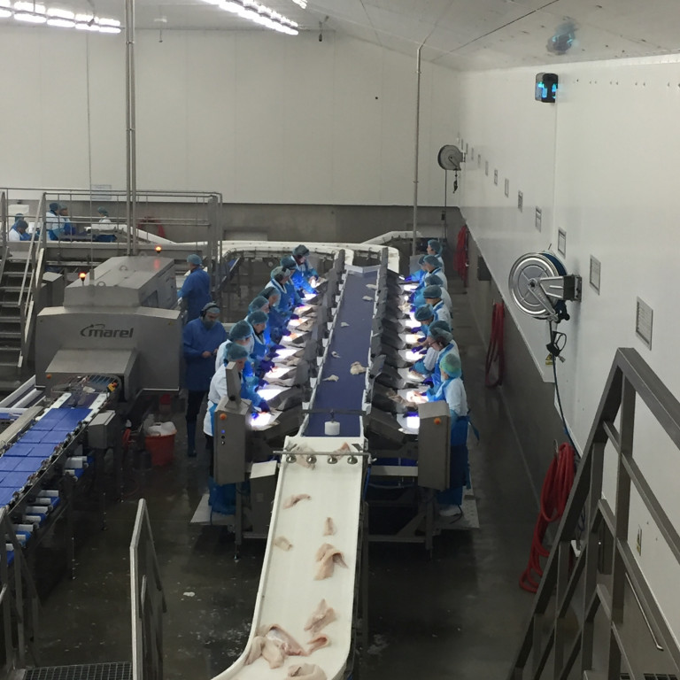 Gæðaskoðun í stað snyrtilínu