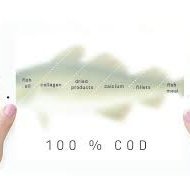 Codland tilnefnt til hvatningarverðlauna Sjávarútvegsstefnunnar og TM árið 2019