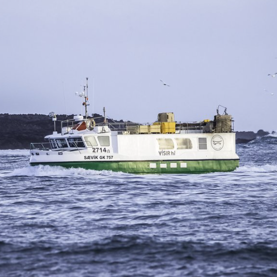 Júlli og félagar á Sævík í góðri veiði út af Krýsuvíkurbjargi
